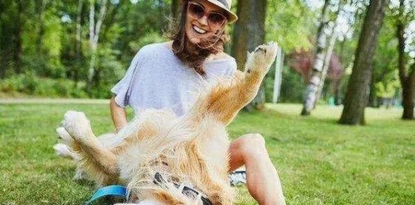 专业股票配资与投资服务 狗狗尾巴甩不停，舔你黏你超亲密，你家毛孩占几招？